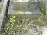 image of grave number 206876